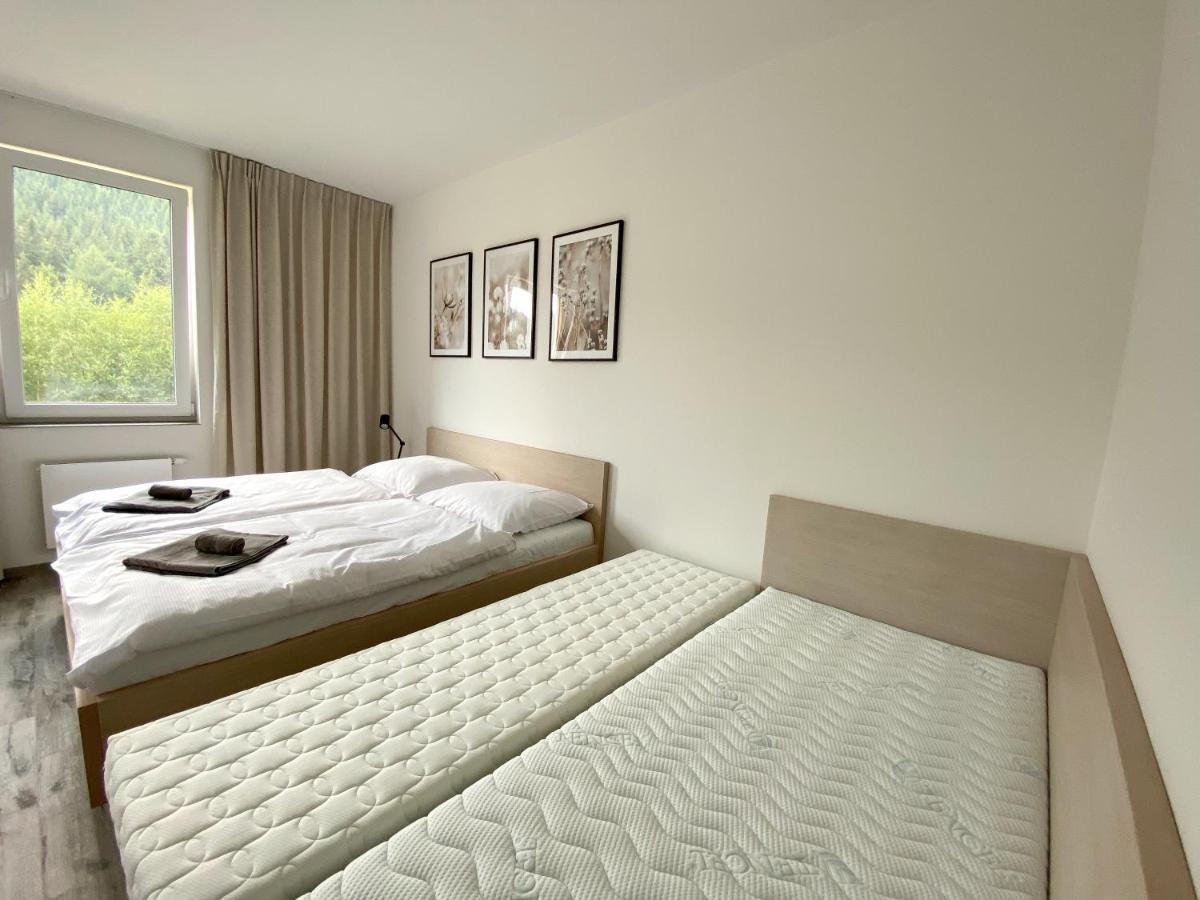 Apartman Luel Dolní Morava Exterior foto